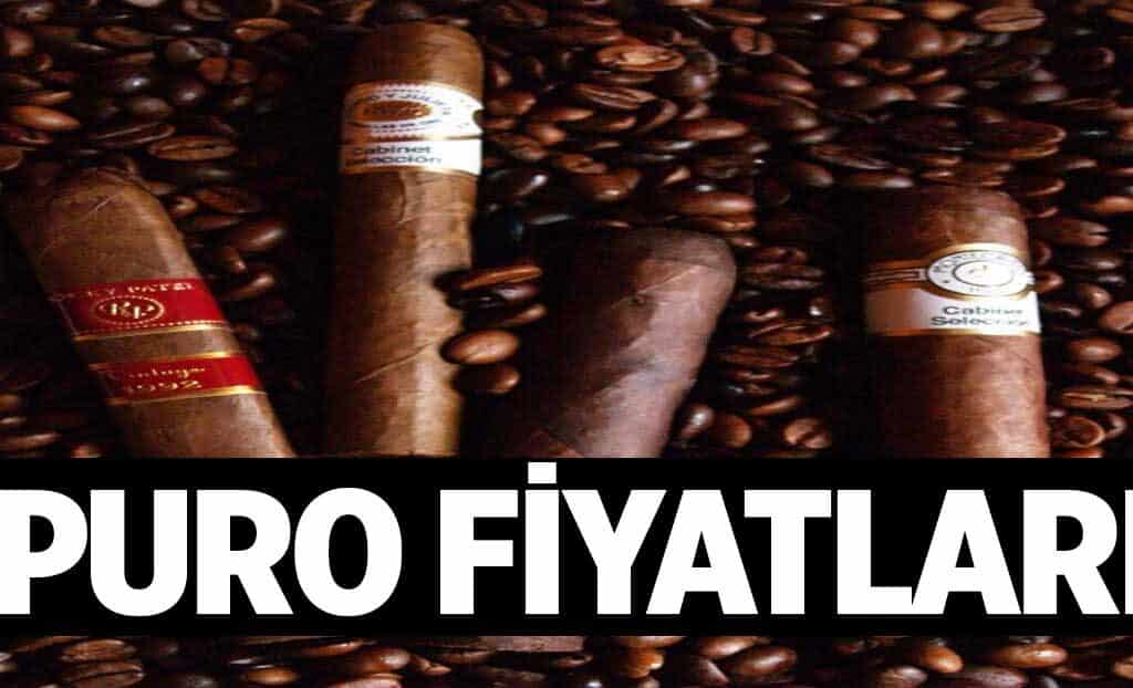 Puro Fiyatlari 1024x622IWN.jpg