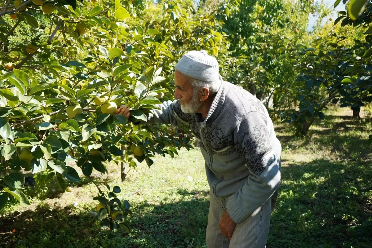 ibrahim amcanin hayir bahcesi gSgPR8Al.jpg