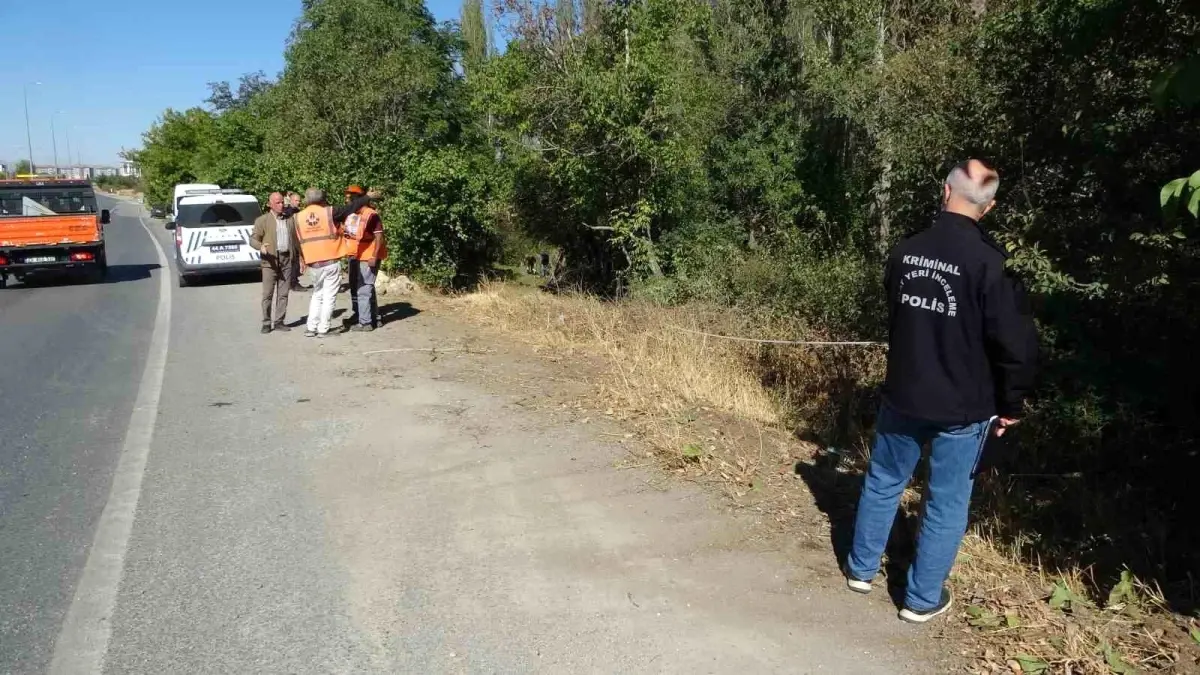 Malatya’da otomobil kayısı bahçesine uçtu: 1 yaralı