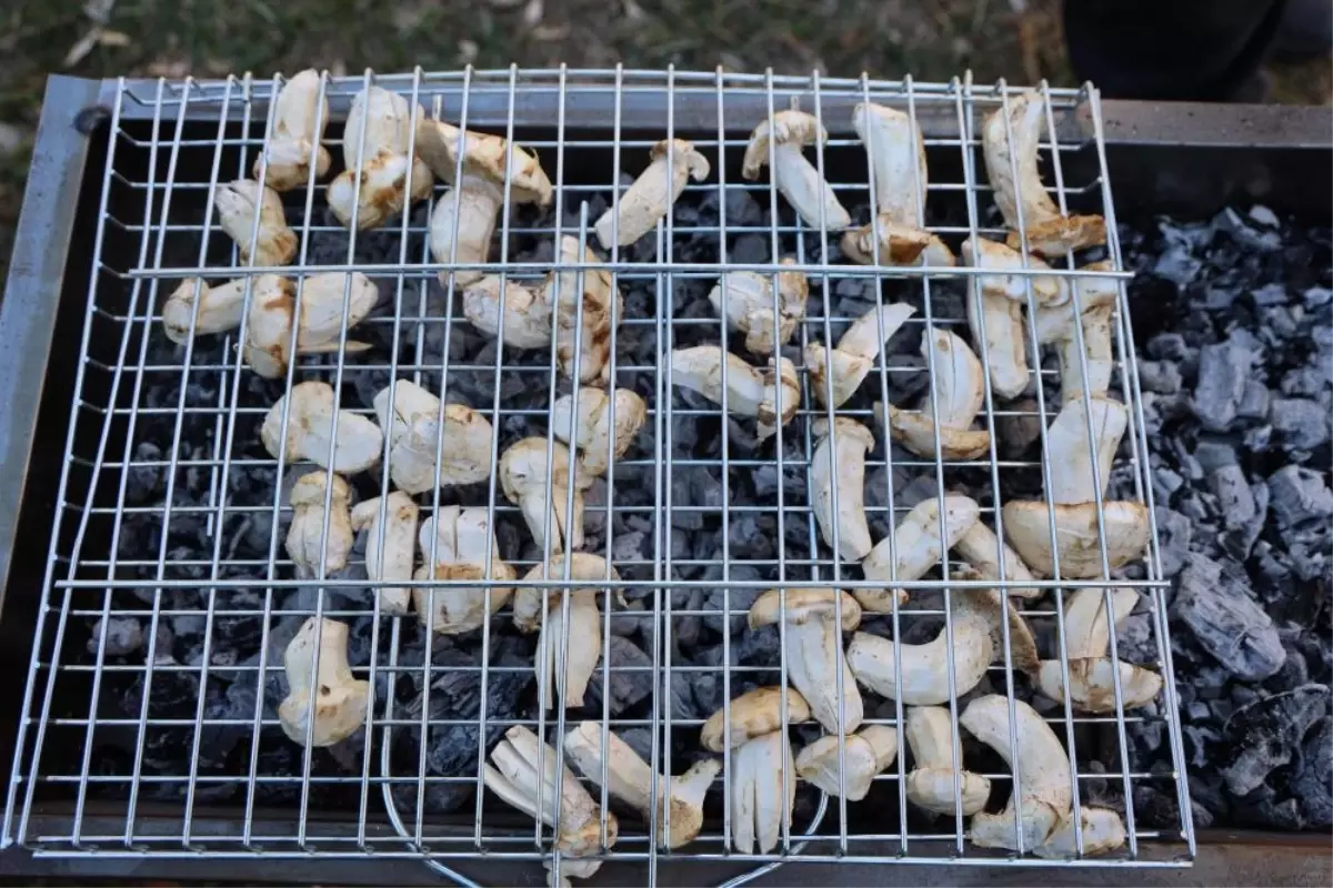 kilosu etle yarisiyor japonlarin gozdesi beyaz altinda hasat basladi 9xOwmz9S.jpg