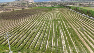 ispartada-gul-hasadi-oncesi-umutlar-yukseldi-rekolte-13-bin-ton-bekleniyor-pC9xytwx