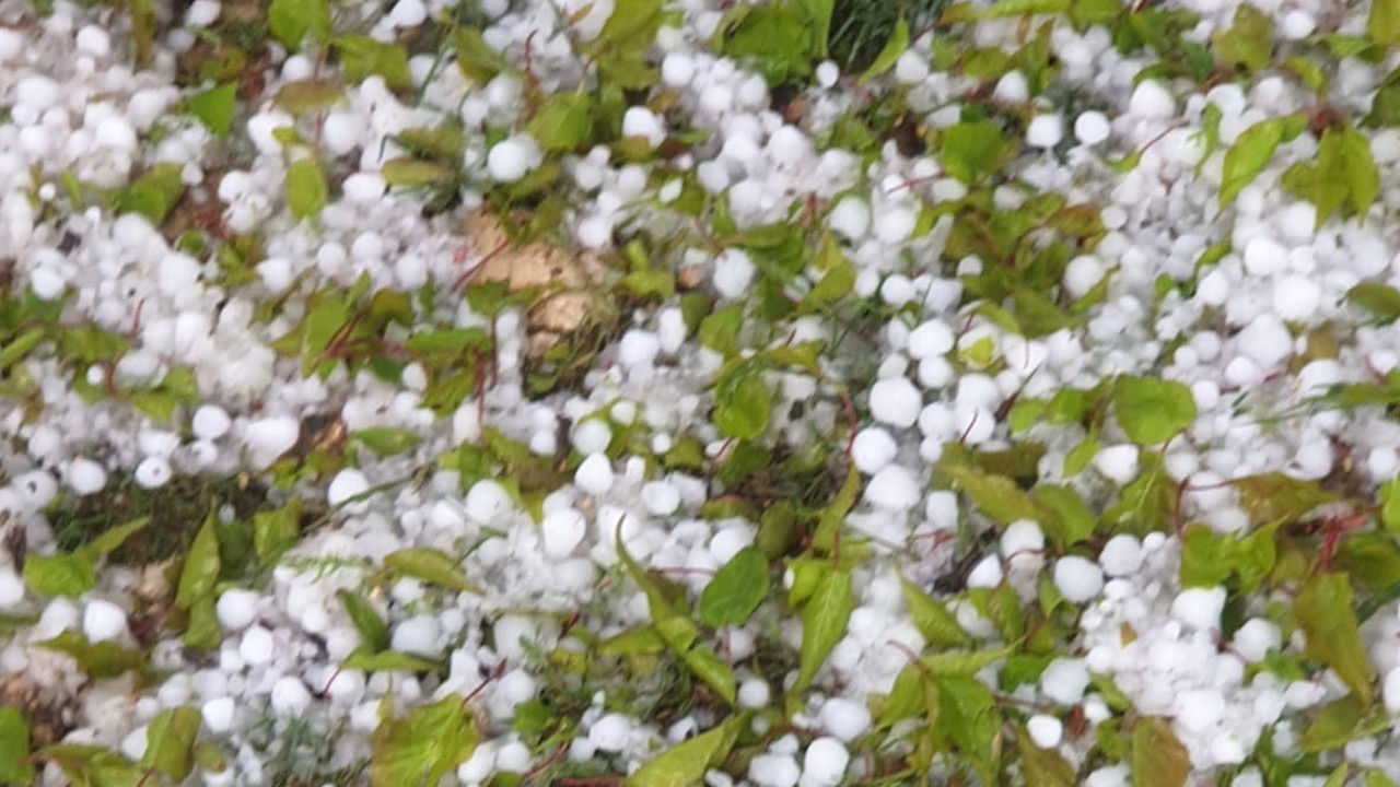 Malatya’da Dolu Felaketi: Kayısı Bahçeleri Ceviz Büyüklüğündeki Dolu ile Yok Oldu
