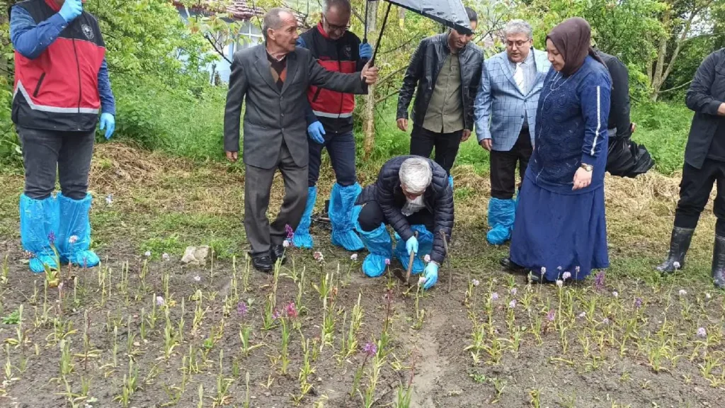 Doğa Yürüyüşüyle Başlayan Salep Serüveni: Gülsüm Köseoğlu’nun Başarı Hikayesi