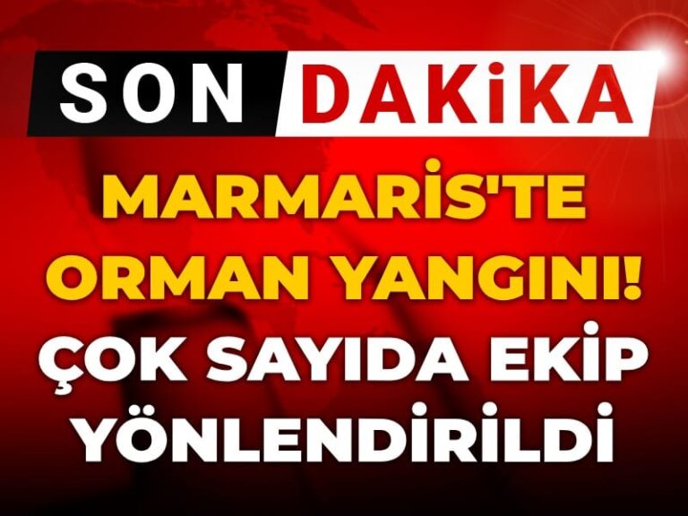 son-dakika-marmariste-orman-yangini-cok-sayida-ekip-yonlendirildi-KvhOXBOE