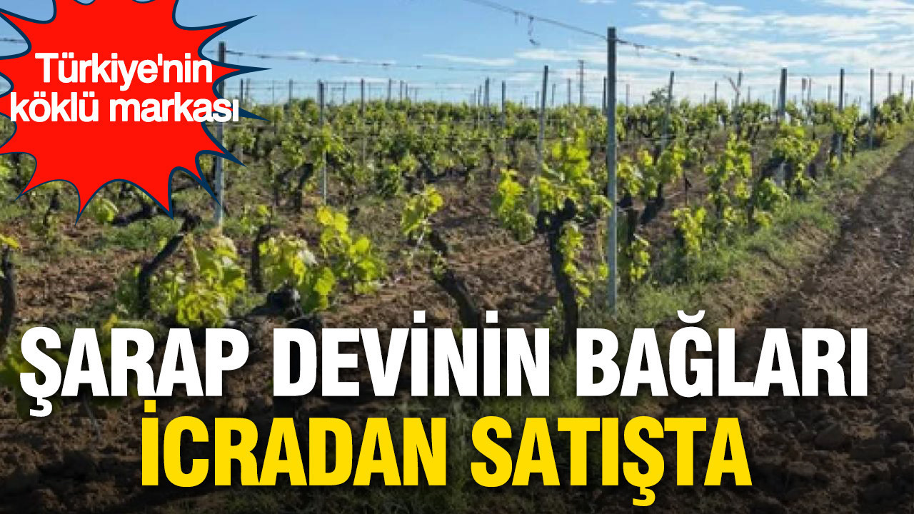 turkiyenin-koklu-sarap-markasinin-baglari-icradan-satisa-cikariliyor-a1eDngMU